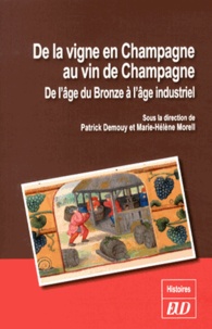 De la vigne en Champagne au vin de Champagne - De lâge du Bronze à lâge industriel.pdf