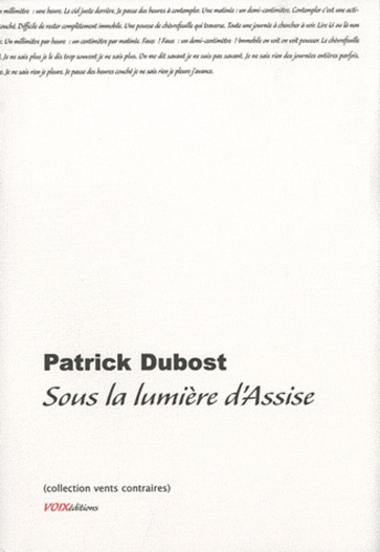 Patrick Dubost - Sous la lumière d'Assise.