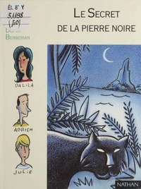 Le secret de la pierre noire