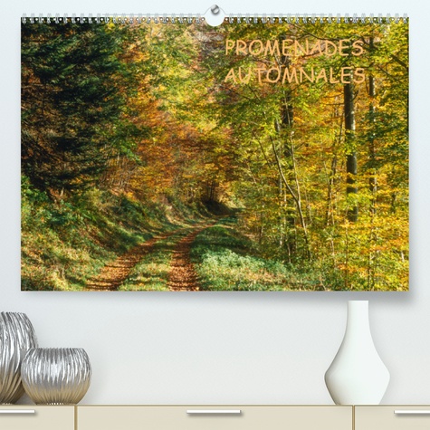 CALVENDO Nature  PROMENADES AUTOMNALES(Premium, hochwertiger DIN A2 Wandkalender 2020, Kunstdruck in Hochglanz). Une saison à nulle autre pareille, l'automne (Calendrier mensuel, 14 Pages )