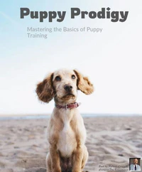 Puppy Prodigy