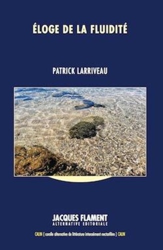 Patrick Larriveau - Eloge de la fluidité.
