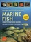Europe and Mediterranean Marine fish. Identification guide
