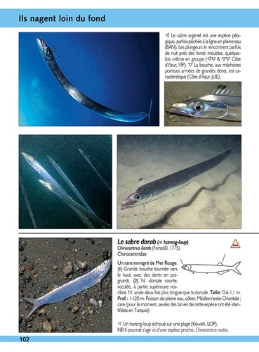 Guide d'identification des poissons marins. Europe et Méditerranée 3e édition revue et augmentée