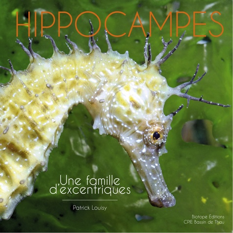 Hippocampes. Une famille d'excentriques