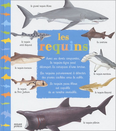 Patrick Louisy et Pascal Robin - Les requins.