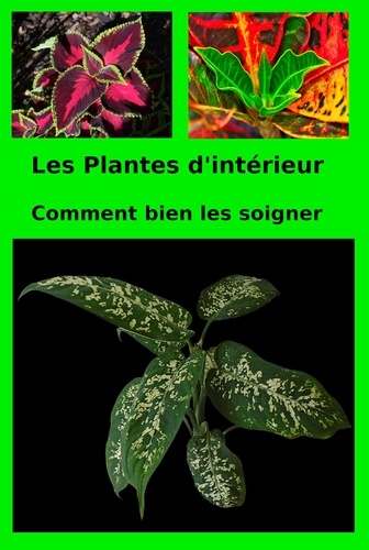 Patrick Olivier - Les Plantes d'intérieur.