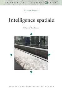 Patrick Poncet - Intelligence spatiale.