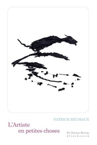 Patrick Reumaux - L'artiste en petites choses.