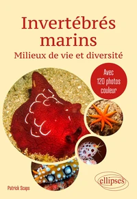 Invertébrés marins