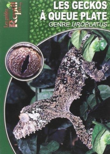 Patrick Schönecker - Les geckos à queue plate - Genre Uroplatus.