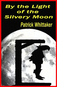 By the Light of the Silvery Moon