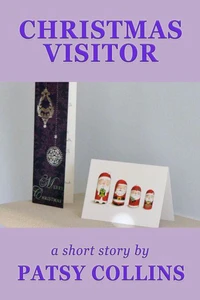 Christmas Visitor
