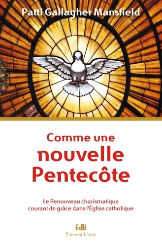 Comme une nouvelle Pentecôte. Le Renouveau charismatique courant de grâce dans l'Eglise catholique