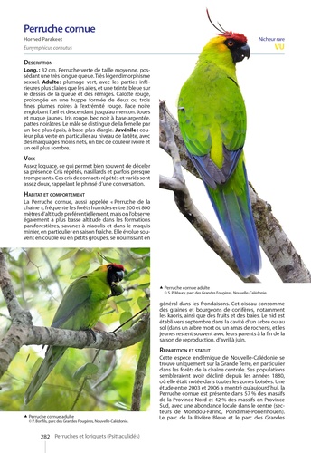 Guide des Oiseaux de Nouvelle-Calédonie. Grande Terre, Iles Loyauté et archipels éloignés