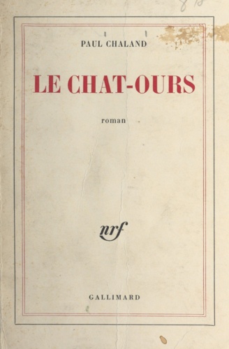 Le chat-ours