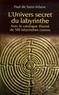 Paul de Saint-Hilaire - L'Univers secret du labyrinthe.