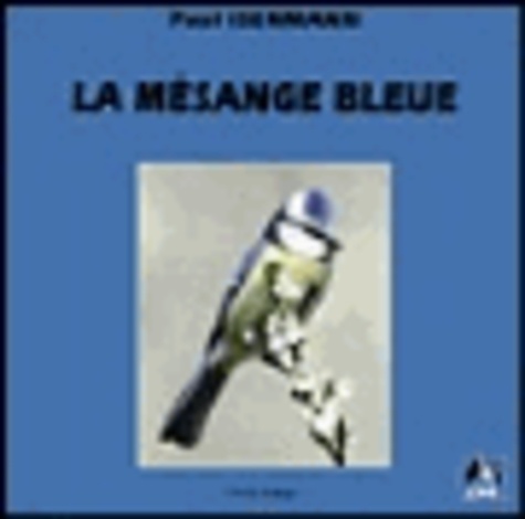 Paul Isenmann - La mésange bleue.