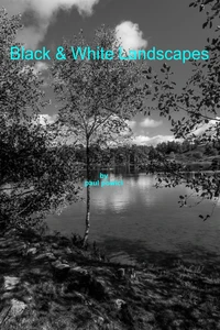 Black&amp;White Landscapes