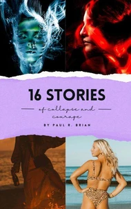 16 Stories of Collapse and Courage