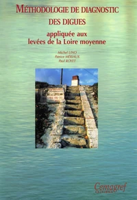 Methodologie De Diagnostic Des Digues Appliquee Aux Levees De La Loire Moyenne