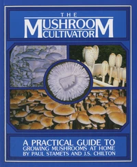 The Mushroom Cultivator