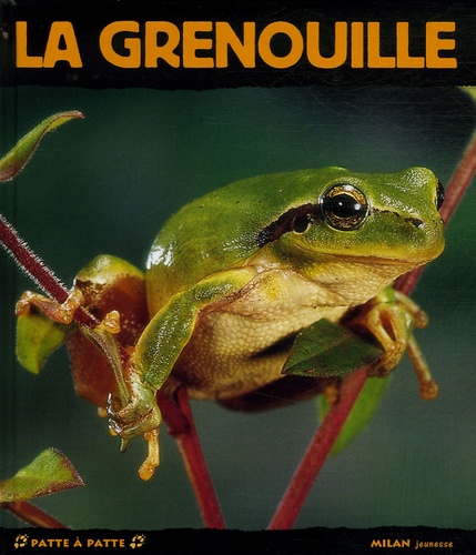 Paul Starosta - La grenouille.
