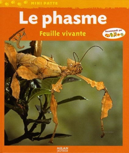 Paul Starosta - Le phasme - Feuille vivante.