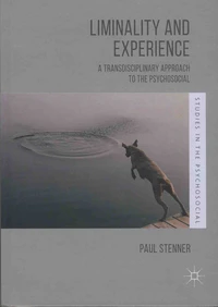 Liminality and Experience