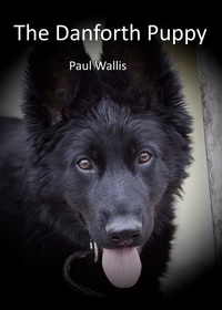  Paul Wallis - The Danforth Puppy.