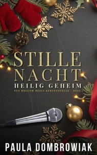 Stille nacht, Heilig Geheim: een stomende, tweede kans, geheime baby, rockster-romantiek