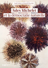 Paule Petitier et Elisabeth Plas - Jules Michelet et la démocratie naturelle.