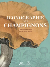 Iconographie des champignons