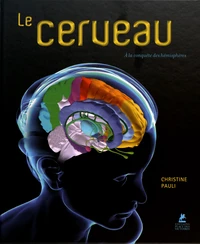 Le cerveau
