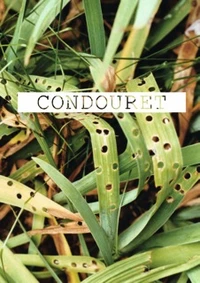 Patrick Condouret
