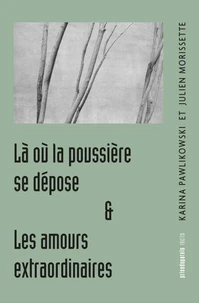 Là où la poussière se dépose, suivi de Les amours extraordinaires