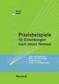 Paxisbeispiele für Einwirkungen nach neuen Normen - Eigen-und Nutzlasten, Wind - und Schneelasten, Kranbahnlaste, Lasten auf Straßenbrücken.