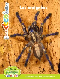 Les araignées