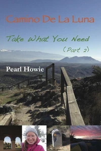 Camino de la Luna - Take What You Need (Part 2)