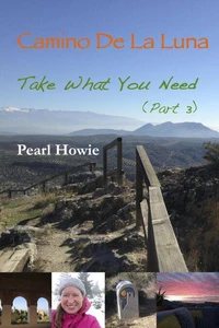 Camino de la Luna - Take What You Need (Part 3)