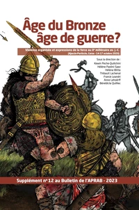 Age du Bronze, âge de guerre ?