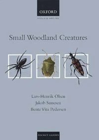 Small Woodland Creatures