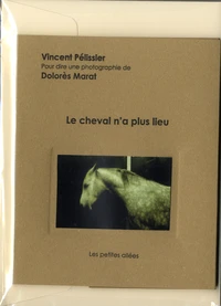 Le cheval n'a plus lieu
