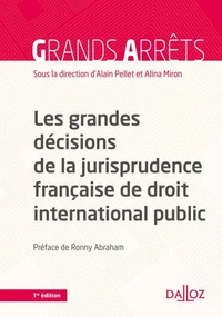 Les grandes décisions de la jurisprudence française de DIPublic (N) - 1re édition