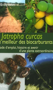 Jatropha Curcas le meilleur des biocarburants