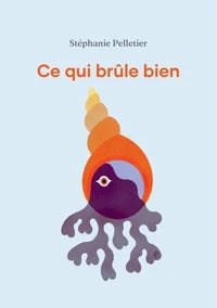 Ce qui brule bien
