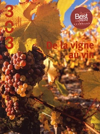 De la vigne au vin