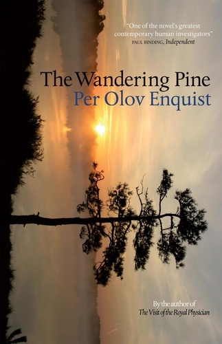 The Wandering Pine. Life as a Novel