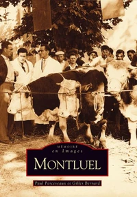 Montluel