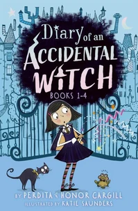 Diary of an Accidental Witch 4-Book Box Set, Books 1-4